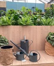 Gärtnerei van Oordt Bild 9