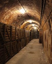 Champagne Bauchet image 5