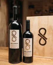 ALMEIDA WEINE GMBH Bild 11