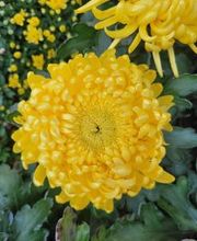 Bricomarché Orval image 18