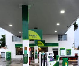 bp imagen 3