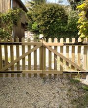 Morel Patrice image 7