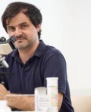 Prof. Dr. Weyrich | FA Rampp - Ärzte für Nephrologie, Innere Medizin, München Bild 11