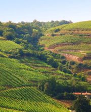 Ibis Styles Lyon Sud Brignais image 8