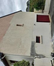 N.P.P image 2
