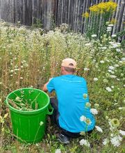 Invaphyt GmbH Bild 4