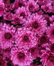 Bricomarché Orval image 1