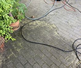 IMG_2985.jpeg