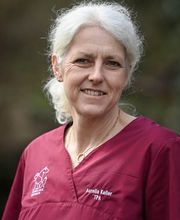 Tierklinik Rossweid AG Bild 3