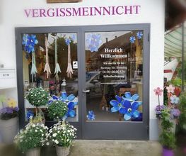 Blumen Vergissmeinnicht Bild 1