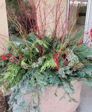 Spring Gardens Landscaping & Horticultural Services, Inc. image 16