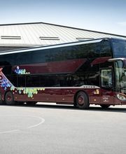 Surprise Reisen Bild 1