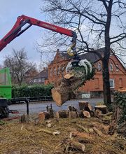 Baum-plus GmbH Bild 4