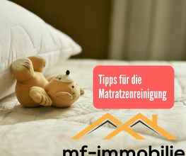 mf-immobilie Bild 8