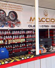 Gallery Cliente