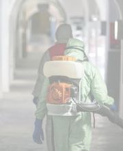 Service National de Décontamination Après Sinistre image 2