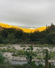 Mizrahi Victoria image 1