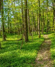 CENTRE SHENYU image 6