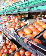 Optimal food Bild 10