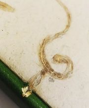 Reliure Lemouzy Catherine image 2