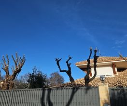 Jardines_La_Sierra_Moralzarzal_Jardineros_Podas_Cesped_Tejados_Canalones_13.jpeg