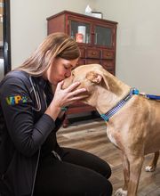 Cottleville Animal Hospital image 16