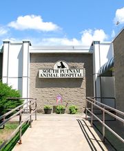 South Putnam Animal Hospital image 11