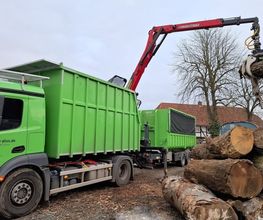 Baum-plus GmbH Bild 11
