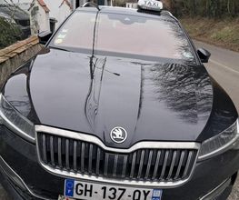TSO Taxi image 2