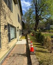 Owen's Tree Expert image 20