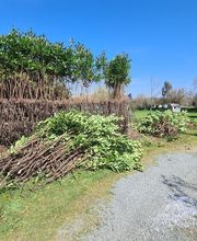 Sos Elagage image 12