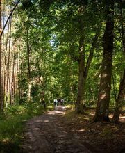 FriedWald Oberkrämer Bild 6