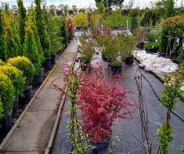 Kienzle Garten GmbH Bild 18