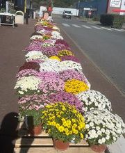 Bricomarché Montendre image 8