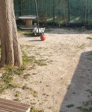 Evtp Jardins EURL image 8