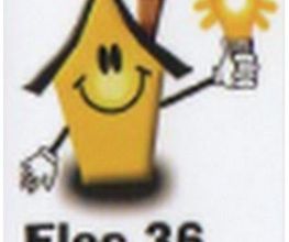 Elec 36 image 1
