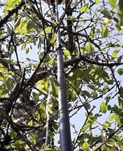 Lefevre Sébastien E.I image 9