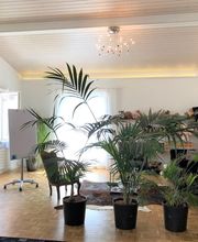 Praxis Diana Sommer Bild 5