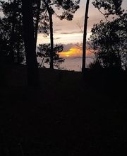 Beaudout Raphael image 9