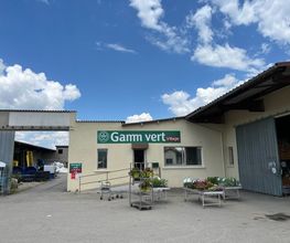 GAMM VERT image 1