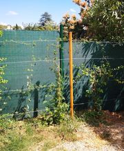 Ecogarden image 8