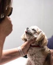 TotalBond Veterinary Hospital at Bethel image 17