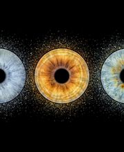 Studio Lichtwert Bild 9