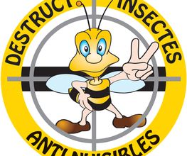 Destruct'Insectes Anti Nuisibles image 6