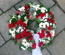 Blumen Anemone Bild 3