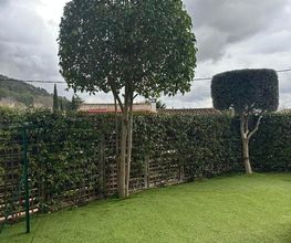 AR HORIZON image 4