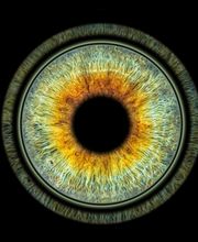 Studio Lichtwert Bild 14