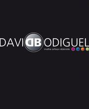 Bodiguel David image 2