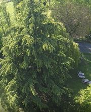 Gites De La Moulinotte image 2