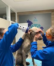 Clínica Veterinaria Roncal - Pilas imagen 5